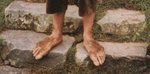 Hobbit Feet